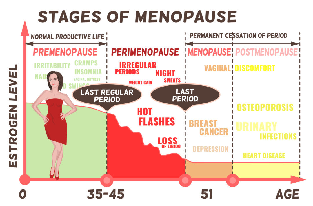 Menopause: What Women Should Know – Morphus