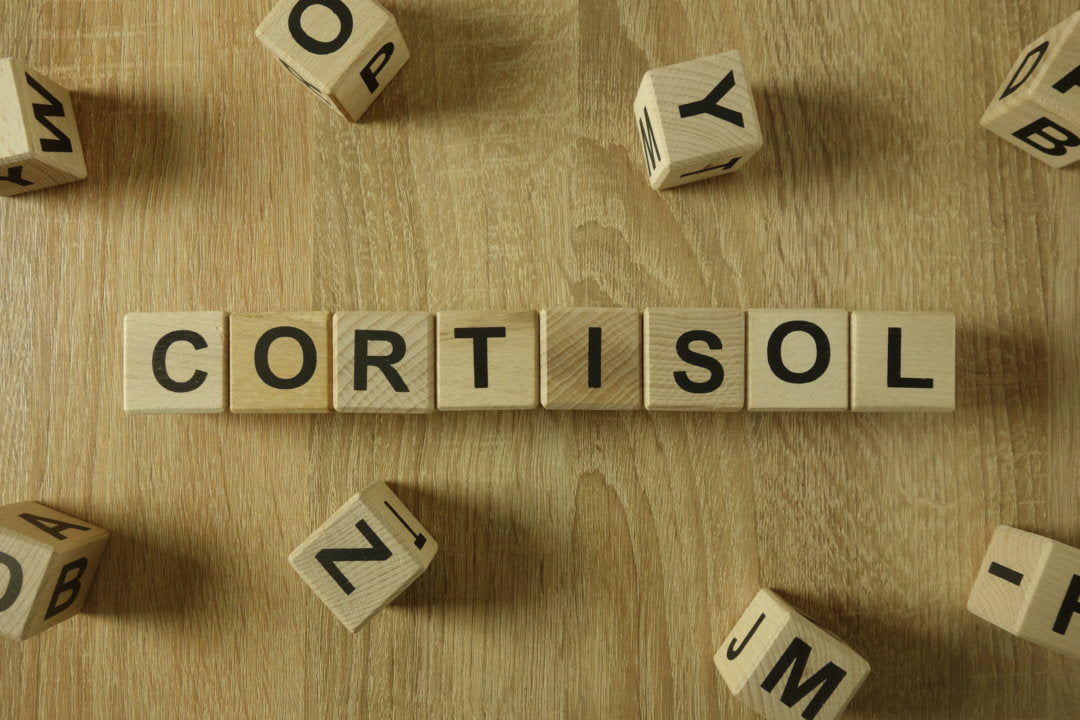 What is Cortisol and How Does it Affect My Body in Menopause