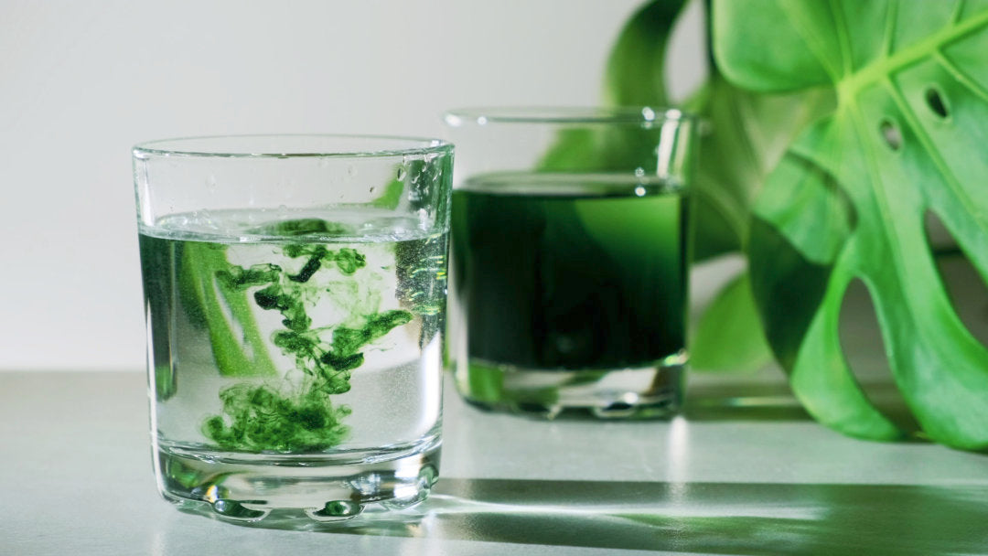 Energize Your Menopause with Chlorophyll