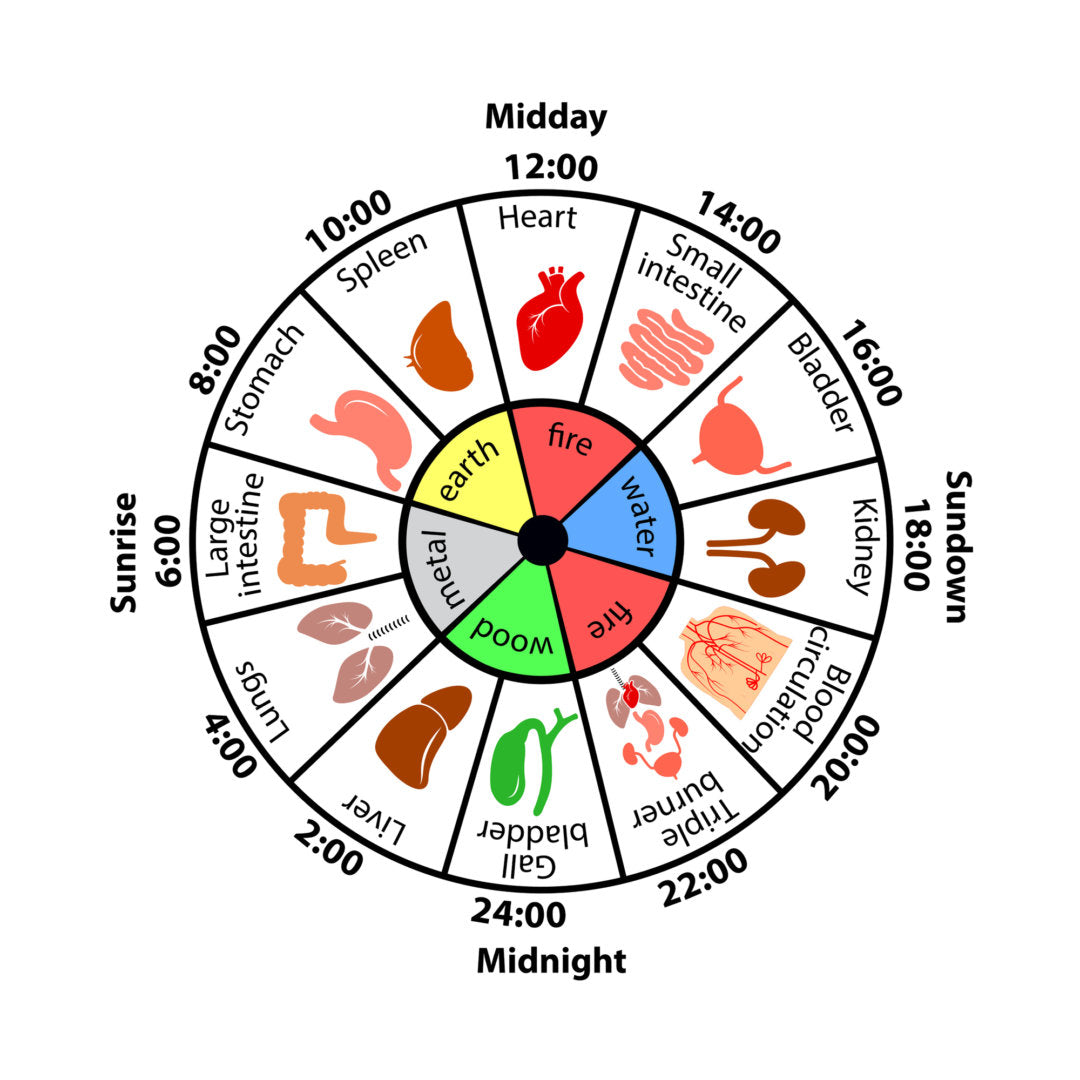 The Chinese Body Clock And Why You Wake Up At Night – Morphus