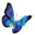 Morphus logo